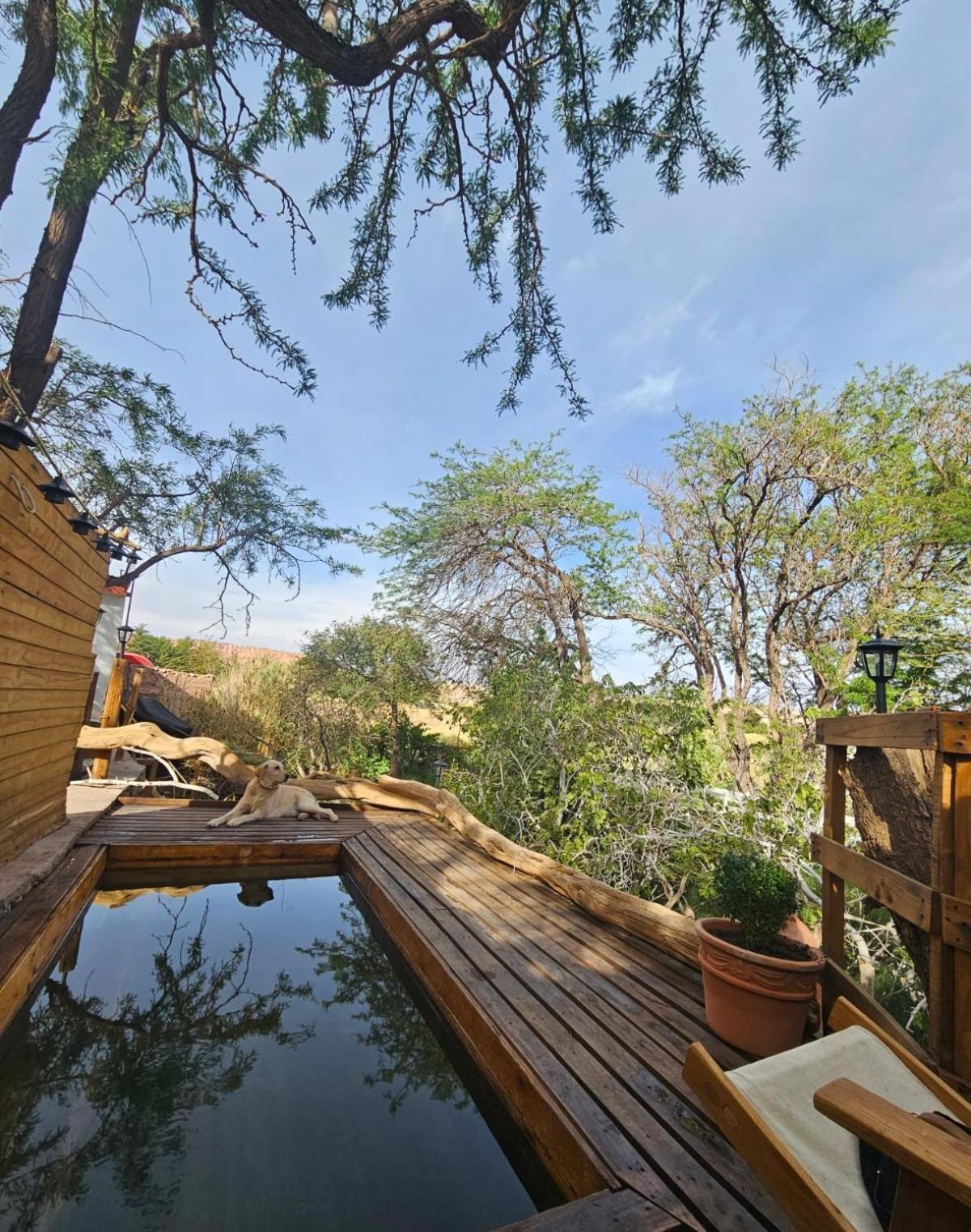 סן פדרו דה אטקאמה Anka Lodge Quitor מראה חיצוני תמונה