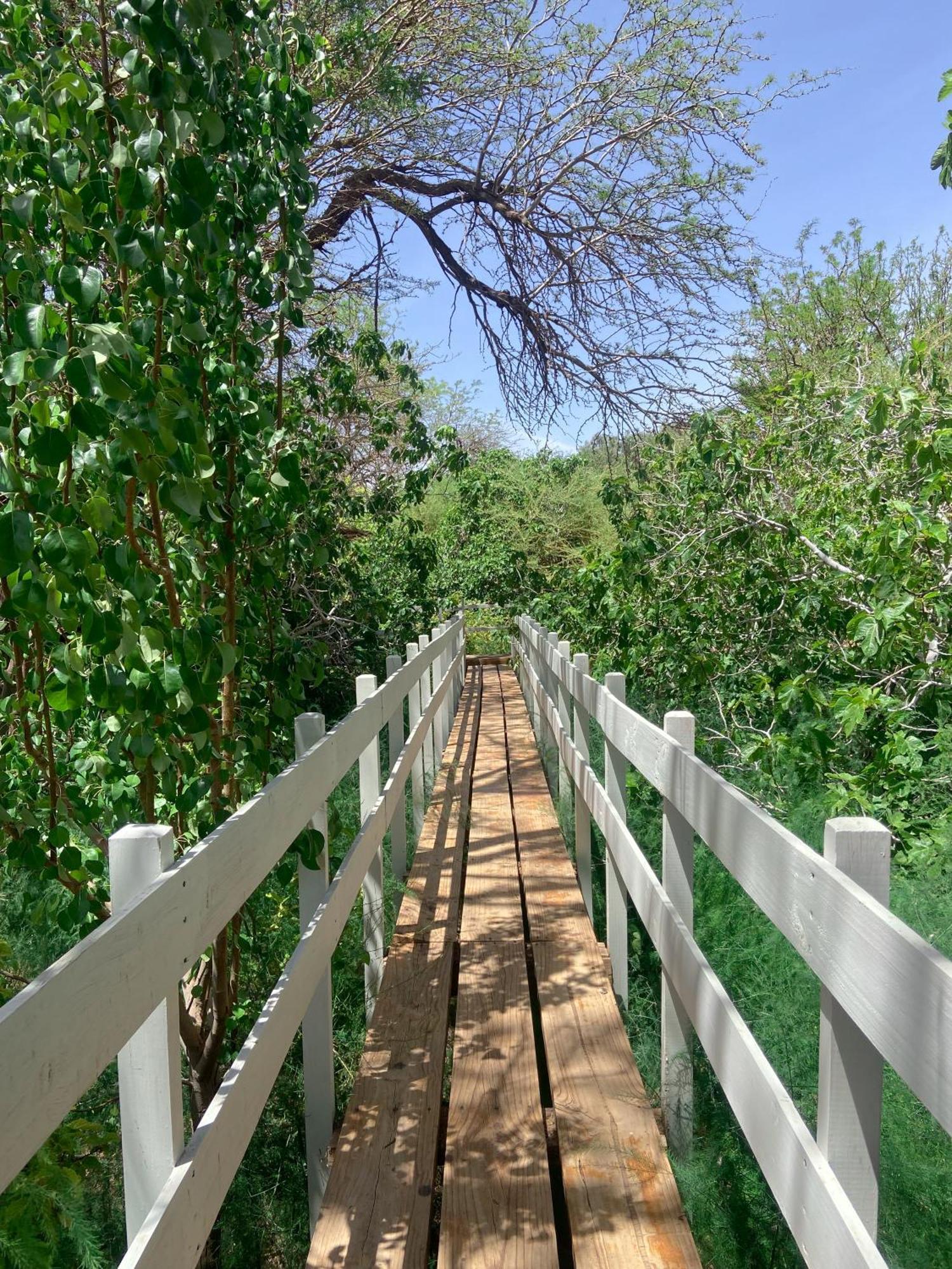 סן פדרו דה אטקאמה Anka Lodge Quitor מראה חיצוני תמונה